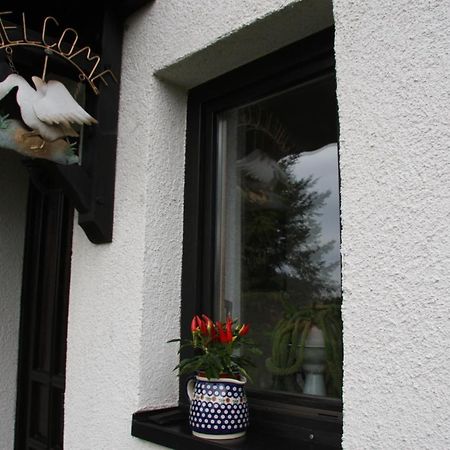 Ferienwohnung Am Steinbachtal Thale Exterior foto