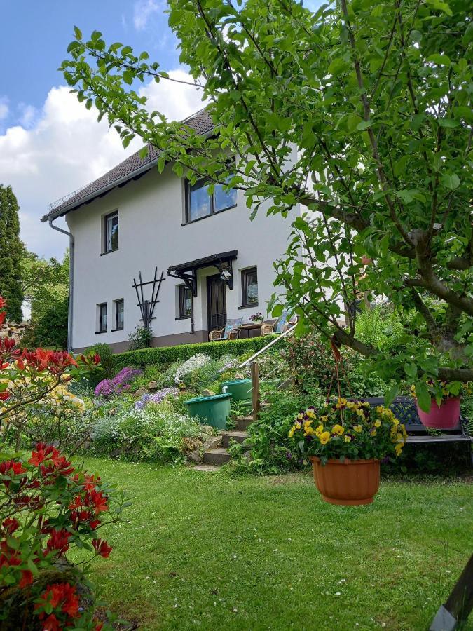 Ferienwohnung Am Steinbachtal Thale Exterior foto
